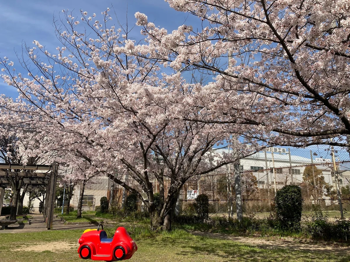 Tagawa Park in Amagasaki | What to Know Before You Go