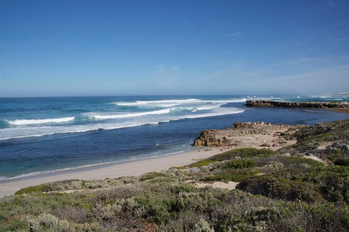 Cactus Beach in Penong, South Australia - Ask AI | mindtrip