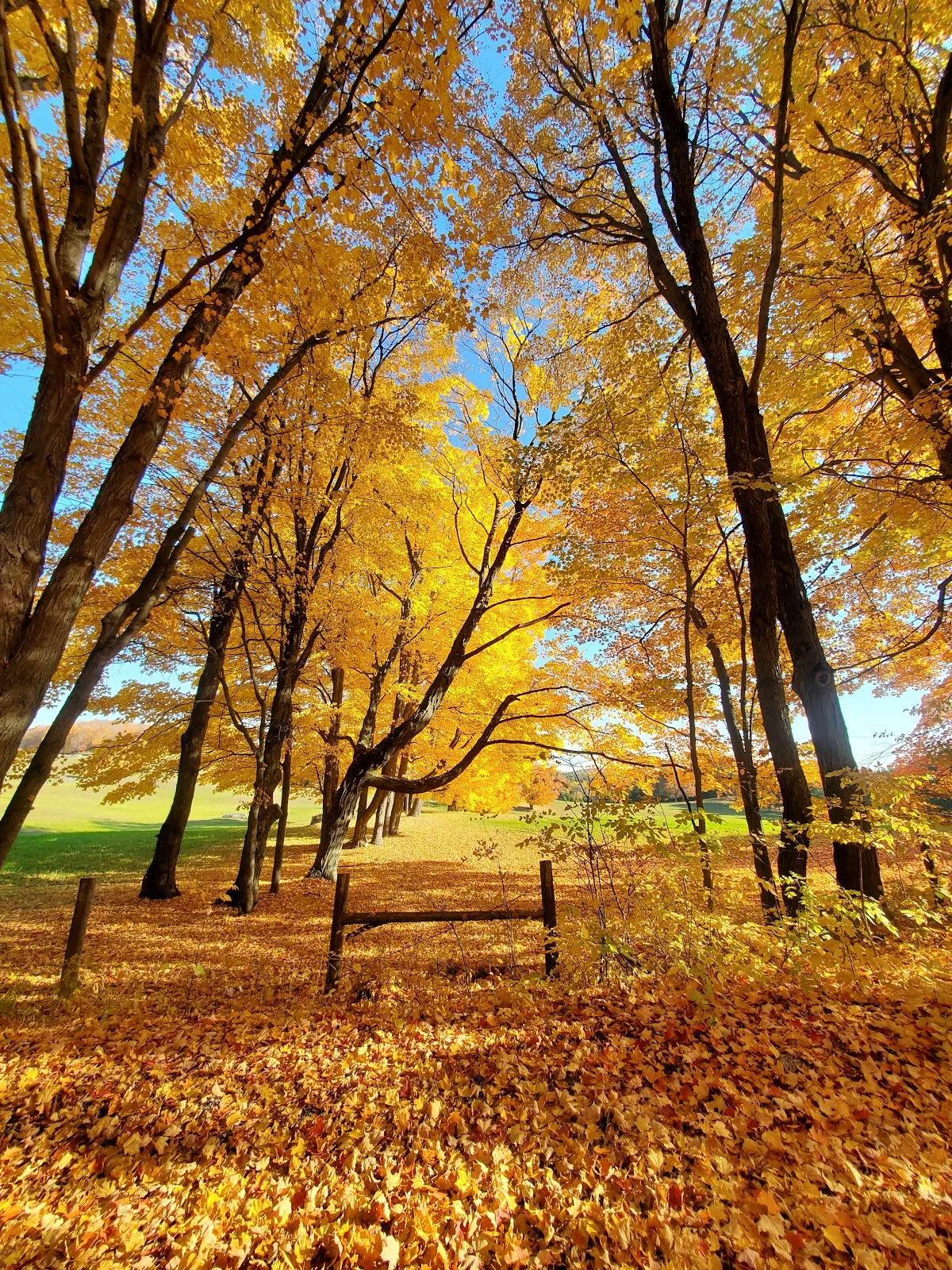 Oak Ridges Moraine Trail entrance | Ask Anything