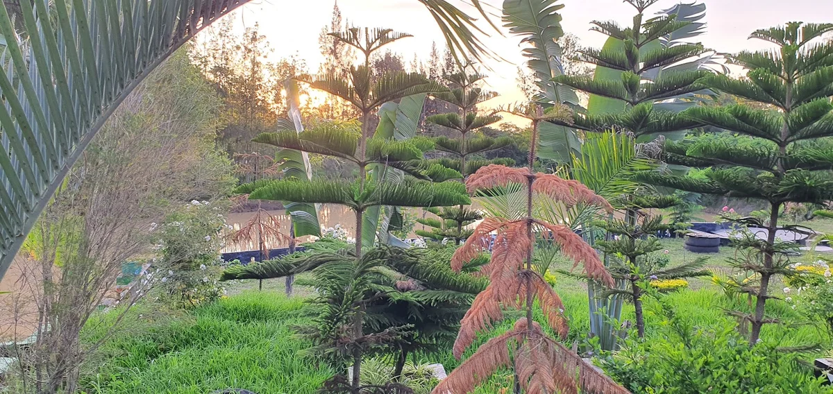 Wakanda Gardens Kitui in Kitui - Ask AI | mindtrip