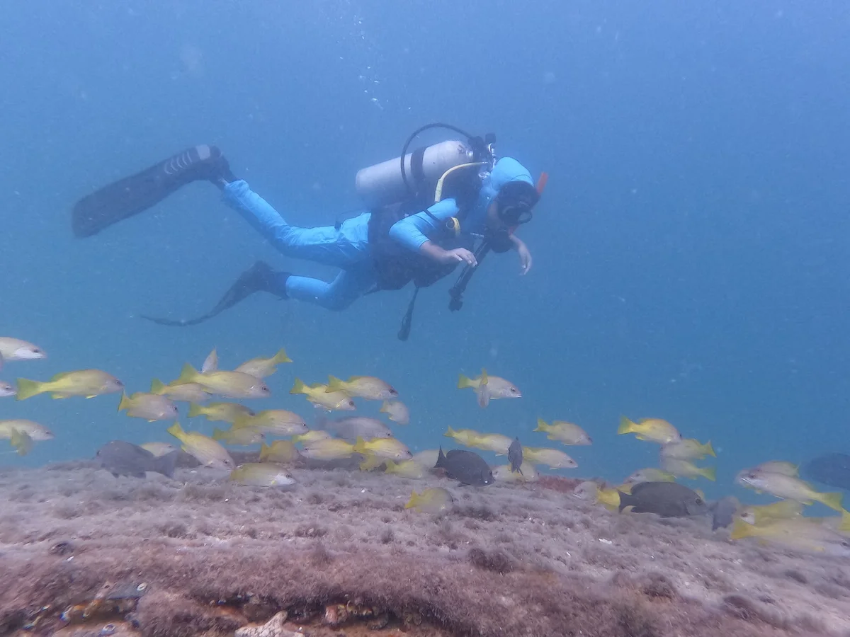 Poseidon Dive Center ,Qatar in Doha | Ask Anything