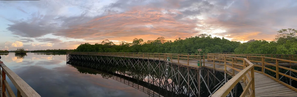 WISATA MANGROVE PERING | What to Know Before You Go