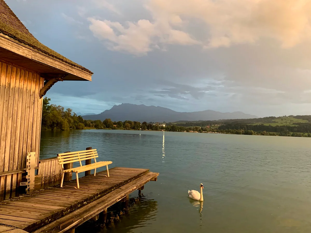 Festhalle Sempach in Sempach | What to Know Before You Go