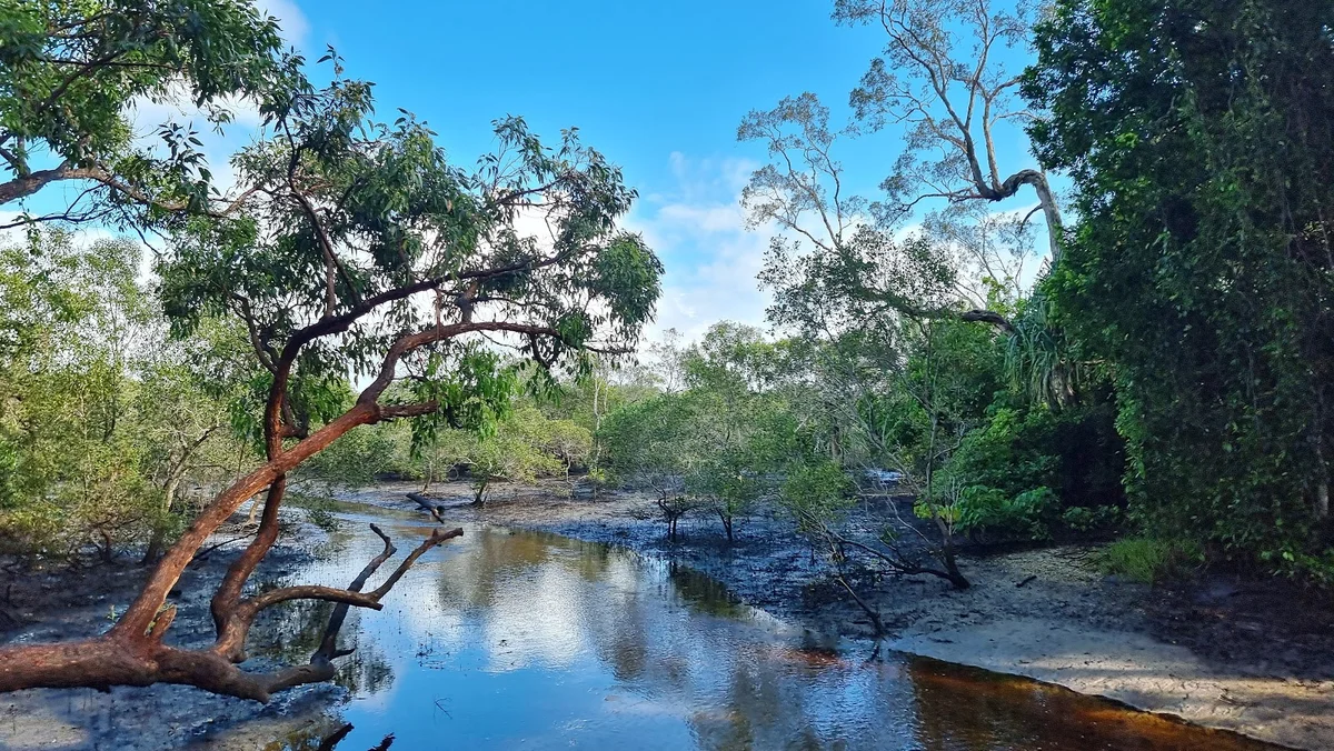 Myora Springs in Dunwich | What to Know Before You Go