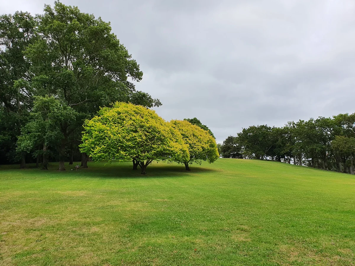 Pukekaroa Hill in Auckland - Ask AI | mindtrip