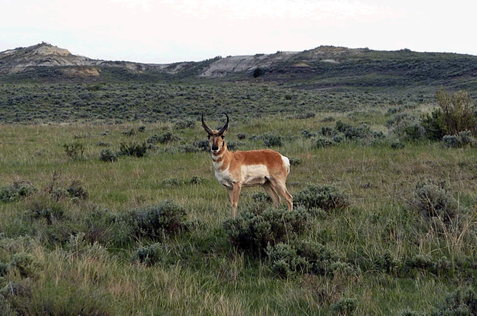 Thunder Basin National Grassland in Wyoming | Ask Anything