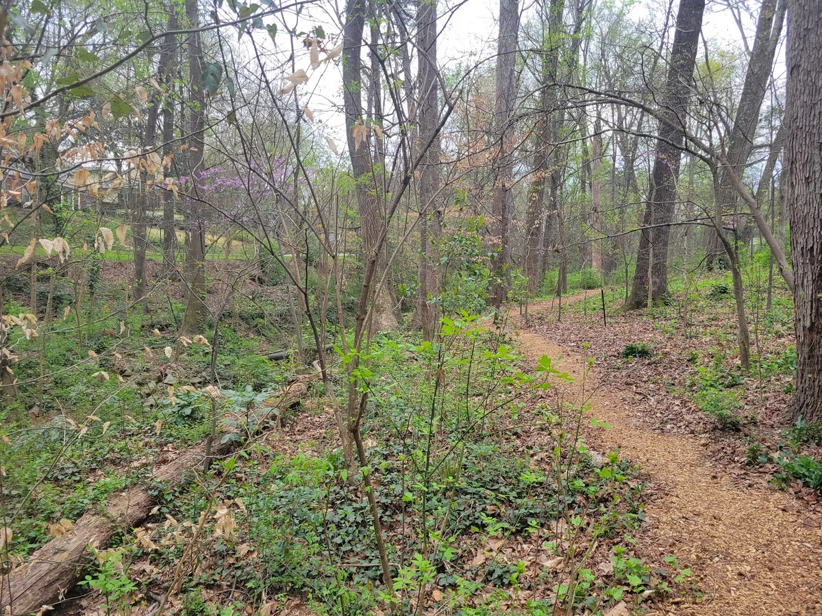 Parkwood Park in Decatur, Georgia | Ask Anything