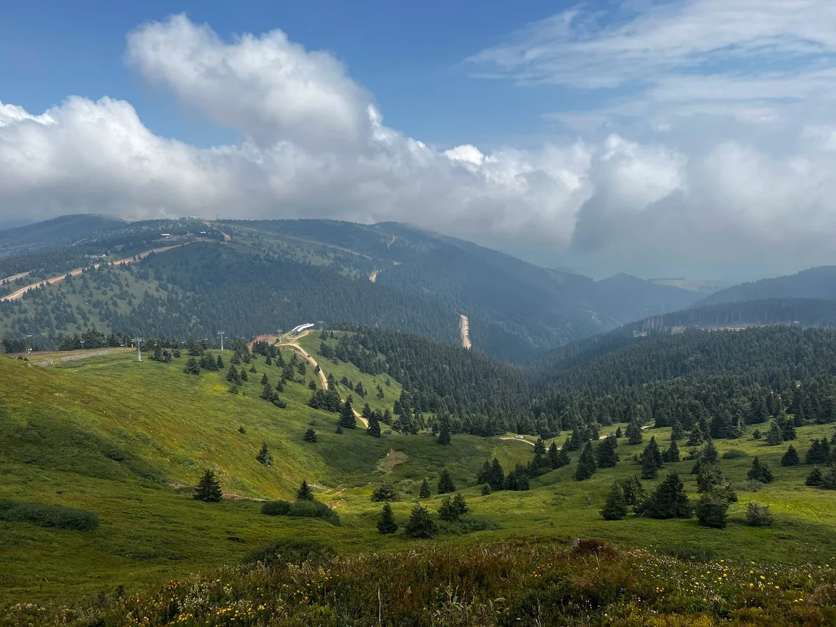 Pancic's peak in Kopaonik - Ask AI | mindtrip