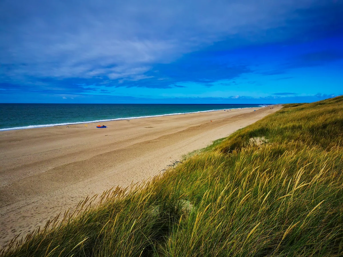 Vejlby Klit in Vejlby, Jutland - Ask AI | mindtrip