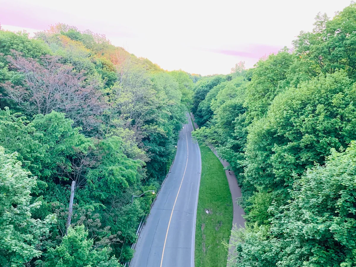 Rosedale Ravine Lands Park in Toronto - Ask AI | mindtrip
