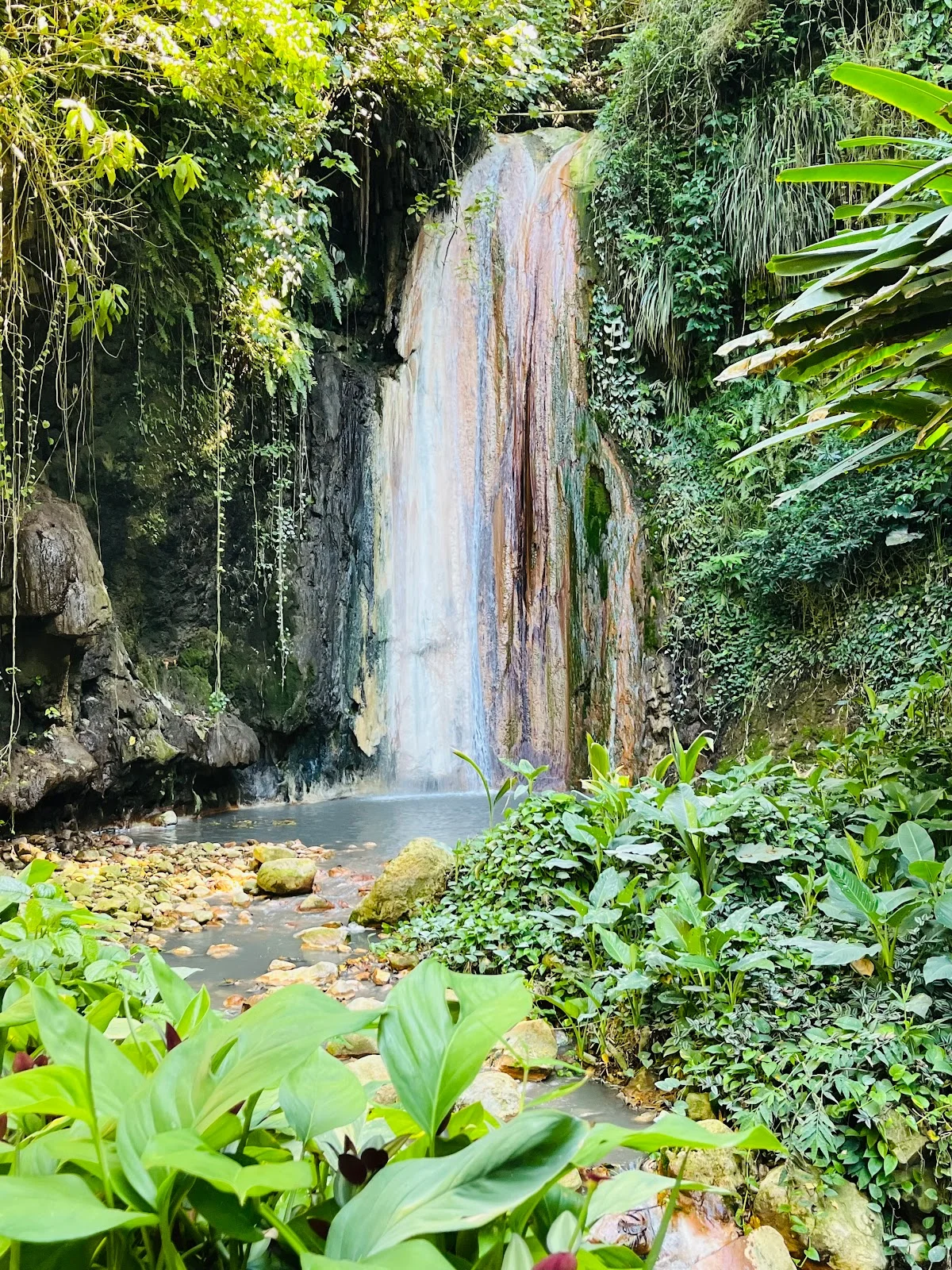 Diamond Falls Botanical Gardens & Mineral Baths