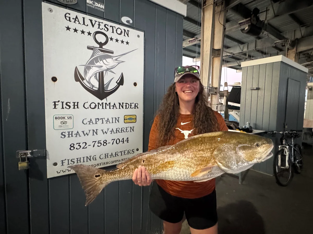 Galveston Fish Commander, LLC - Ask AI | mindtrip