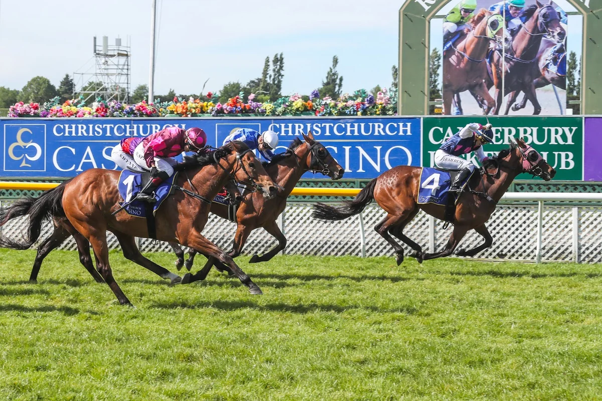 Riccarton Park Racecourse | What to Know Before You Go