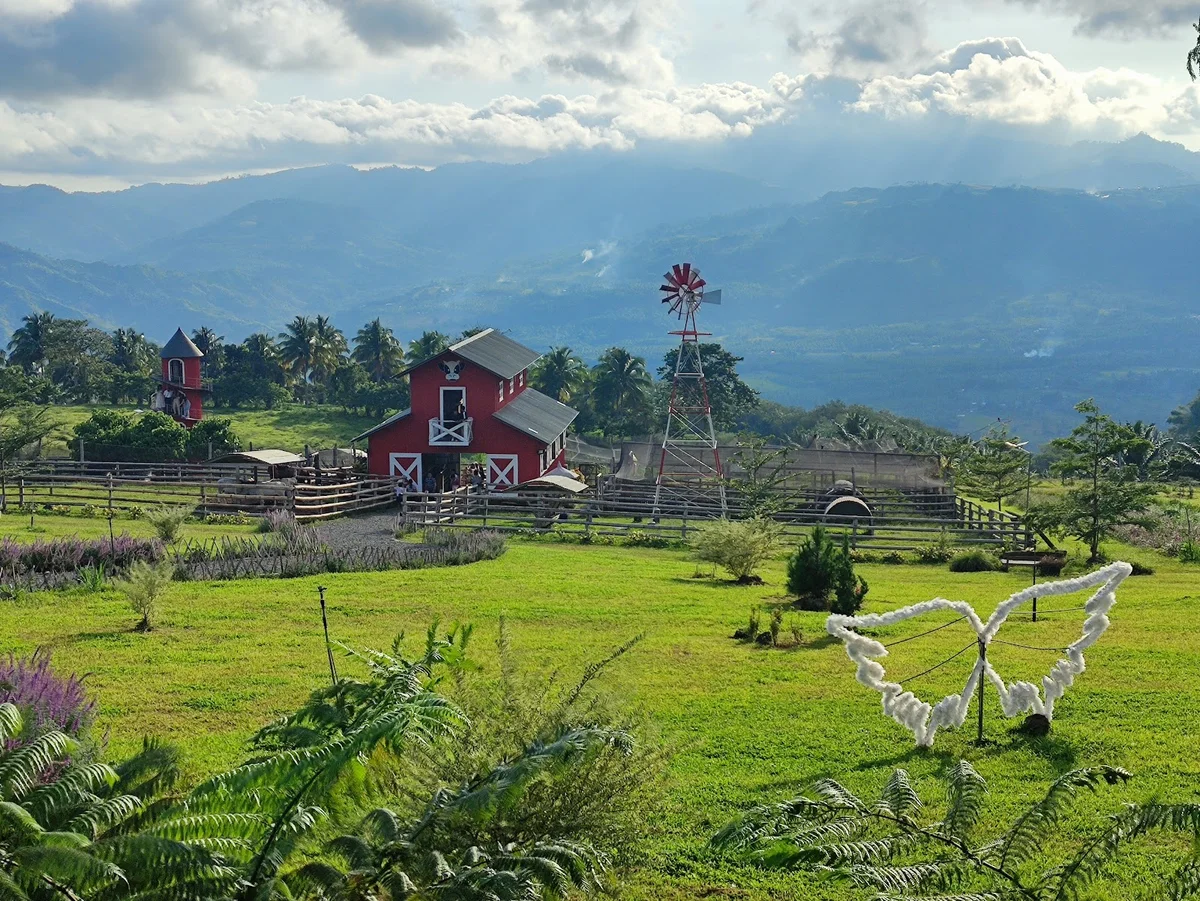 Coco's Funville in Alamada, SOCCSKSARGEN - Ask AI | mindtrip
