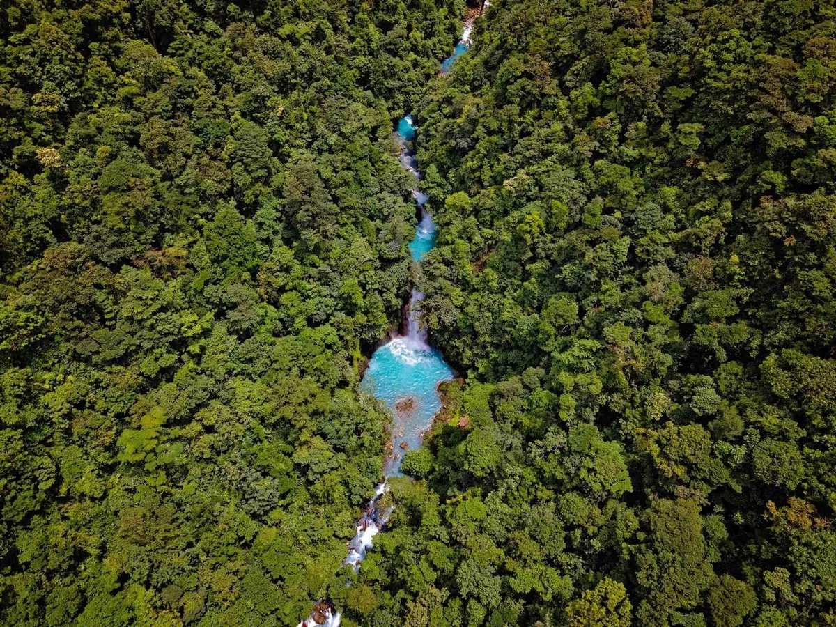 Celeste River (Río Celeste) | What to Know Before You Go