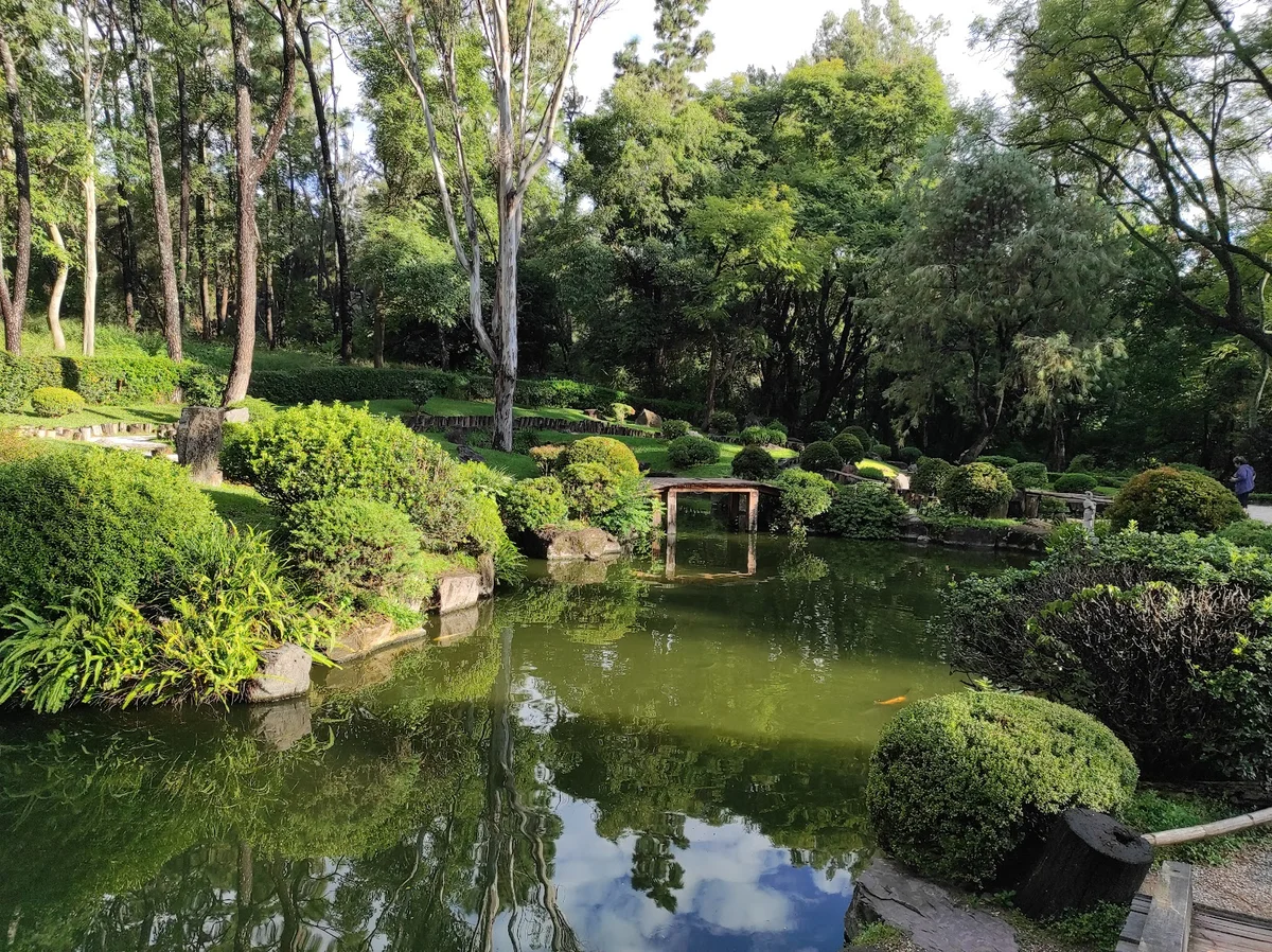 Los Colomos Forest | What to Know Before You Go