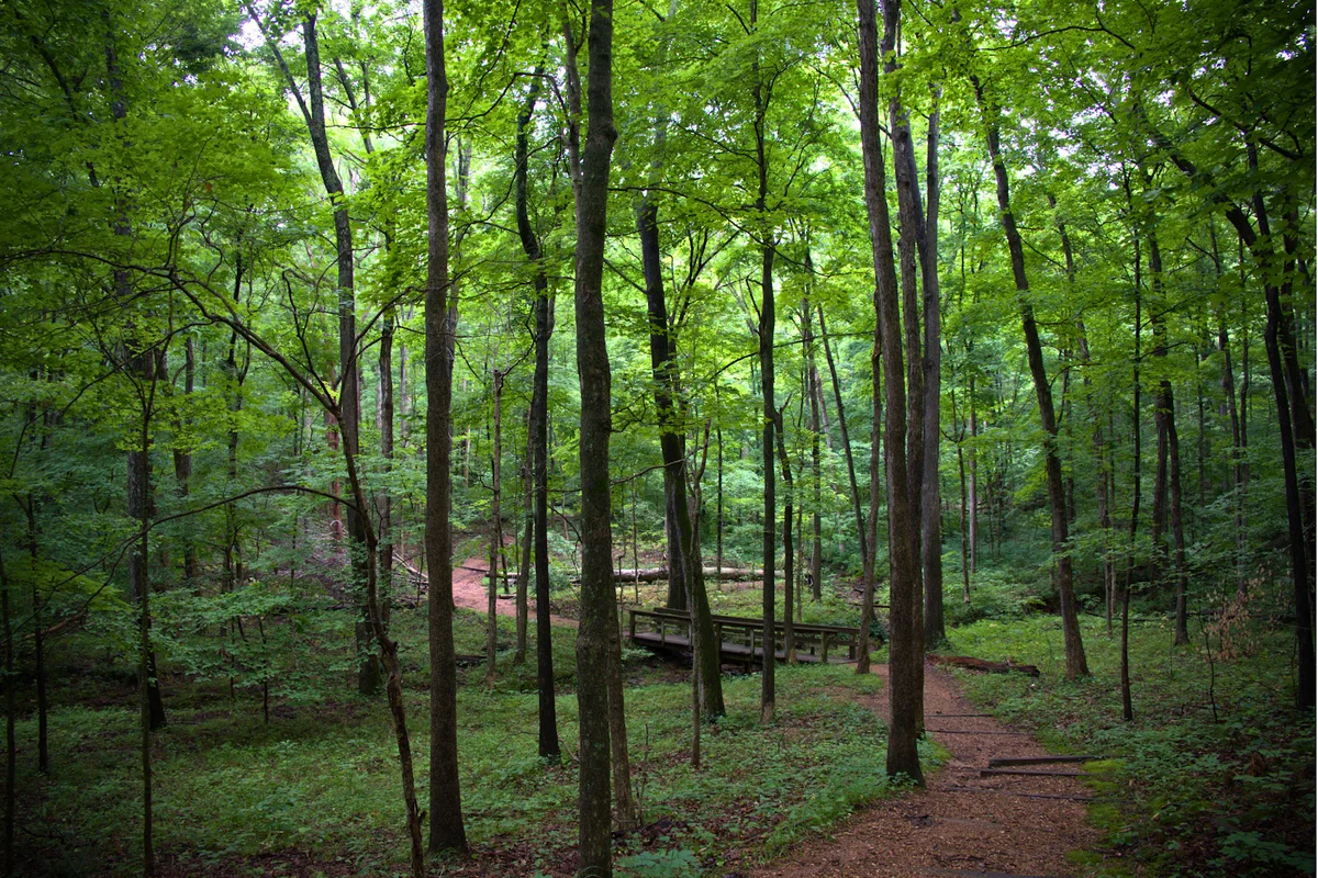 Hawk's Cave Trailhead in Goreville - Ask AI | mindtrip