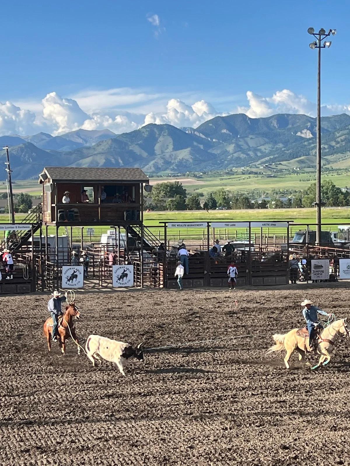 Bozeman Stampede Rodeo | What to Know Before You Go