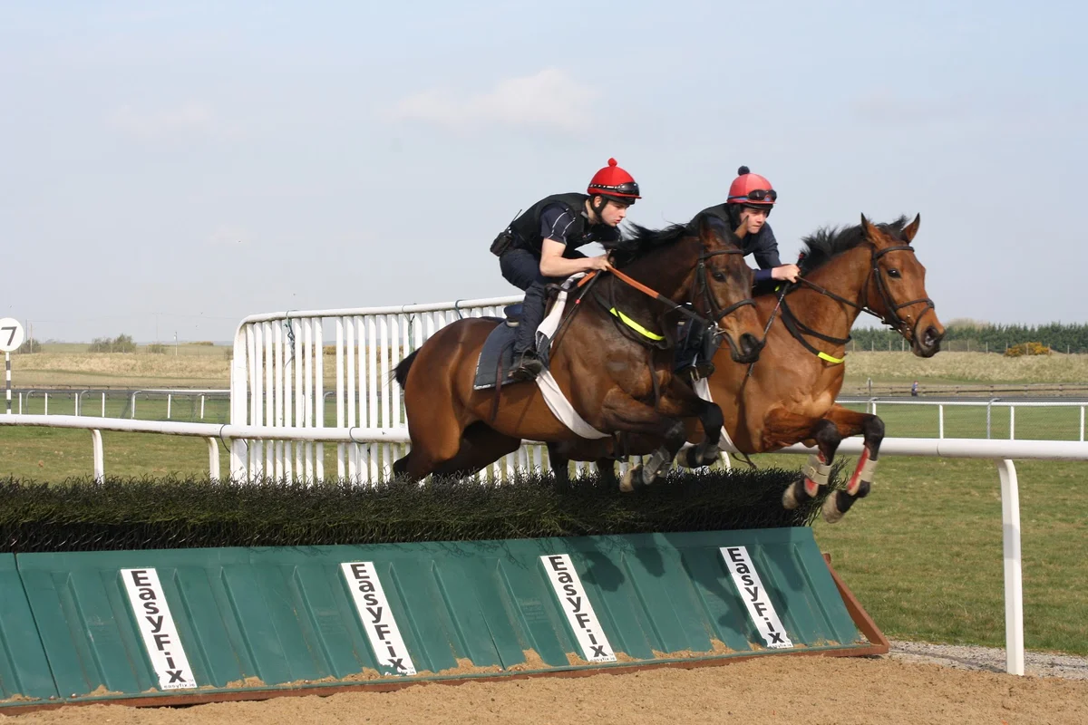Racing Academy and Centre of Education (RACE) | Ask Anything