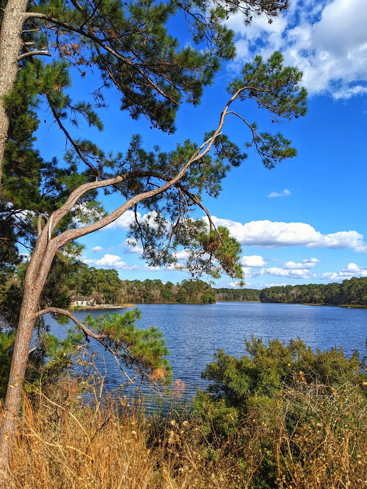 Lake Raven in New Waverly, Texas - Ask AI | mindtrip