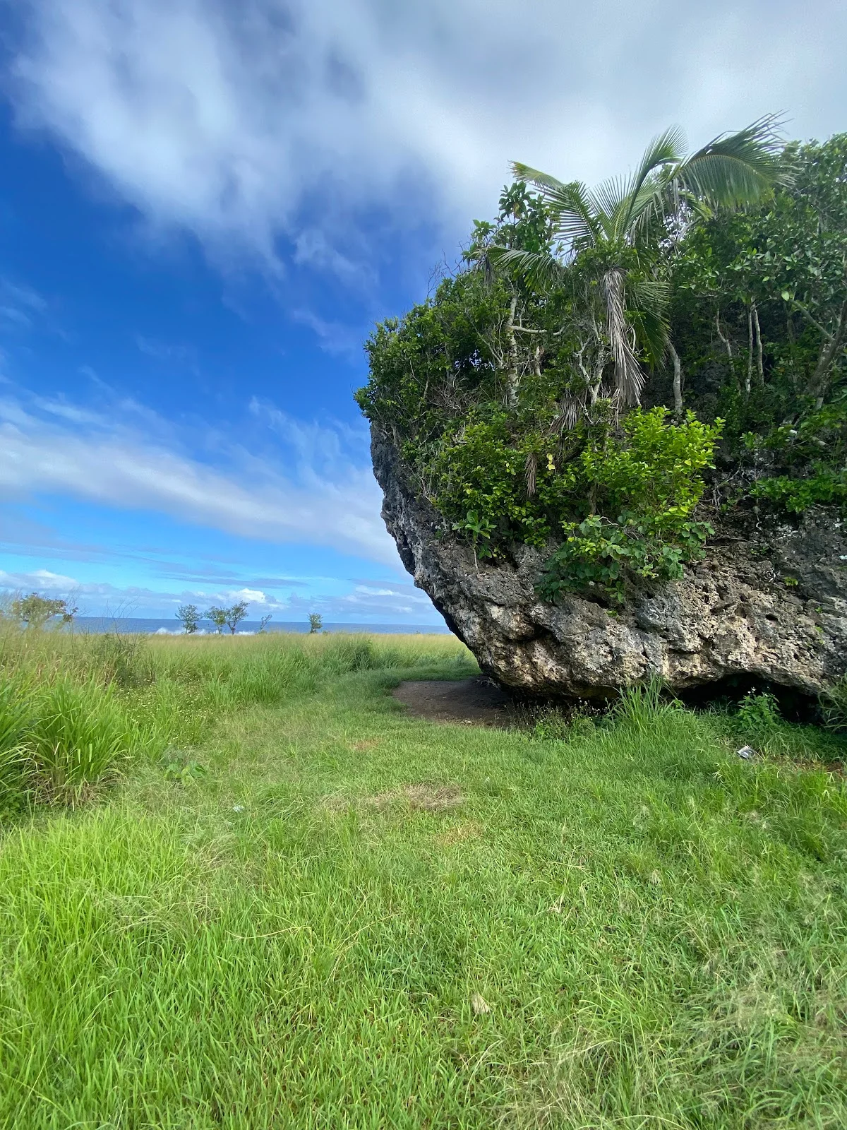Tsunami Rock in Foui, Tongatapu | What to Know Before You Go
