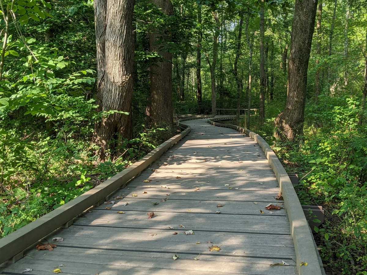 Penllyn Woods in Penllyn, Pennsylvania - Ask AI | mindtrip