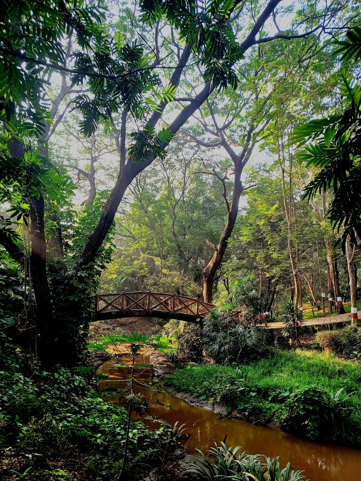 Ganesh Talav in Pune, Maharashtra - Ask AI | mindtrip