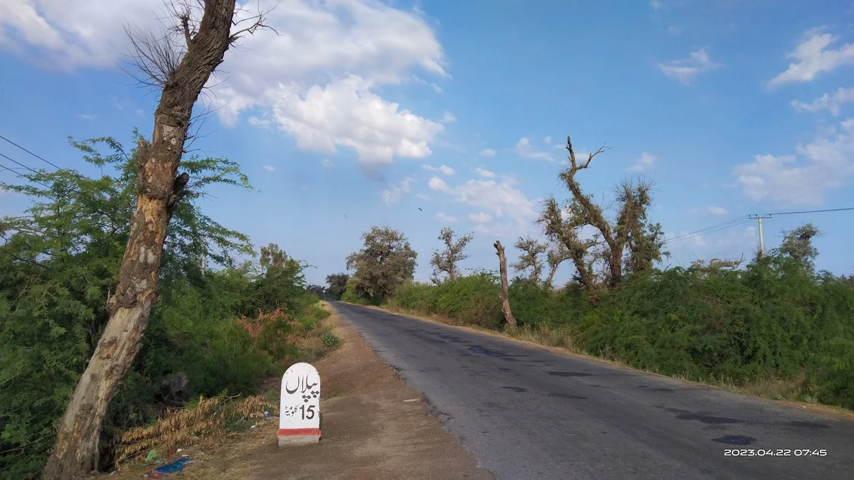 Piplan Mor in Punjab - Ask AI | mindtrip