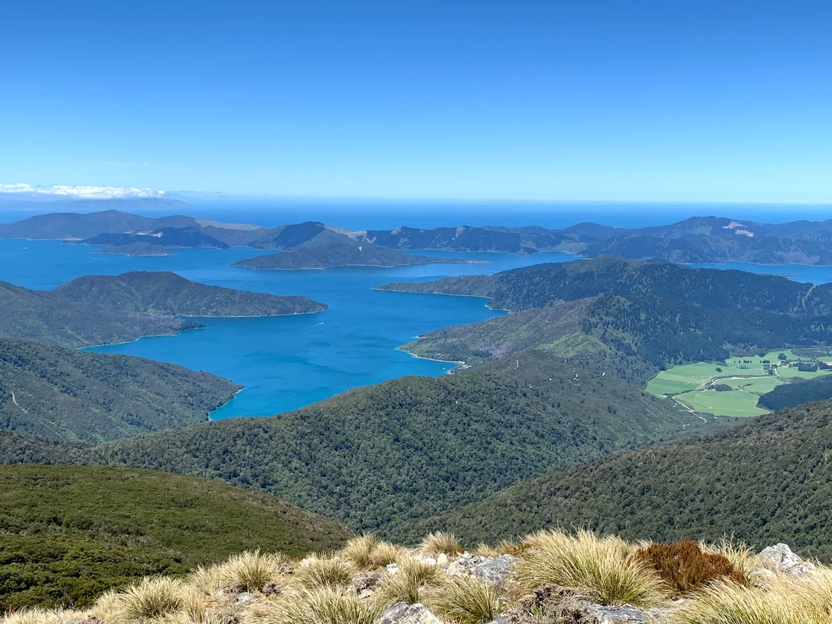 Mount Stokes in Endeavour Inlet, Marlborough | Ask Anything