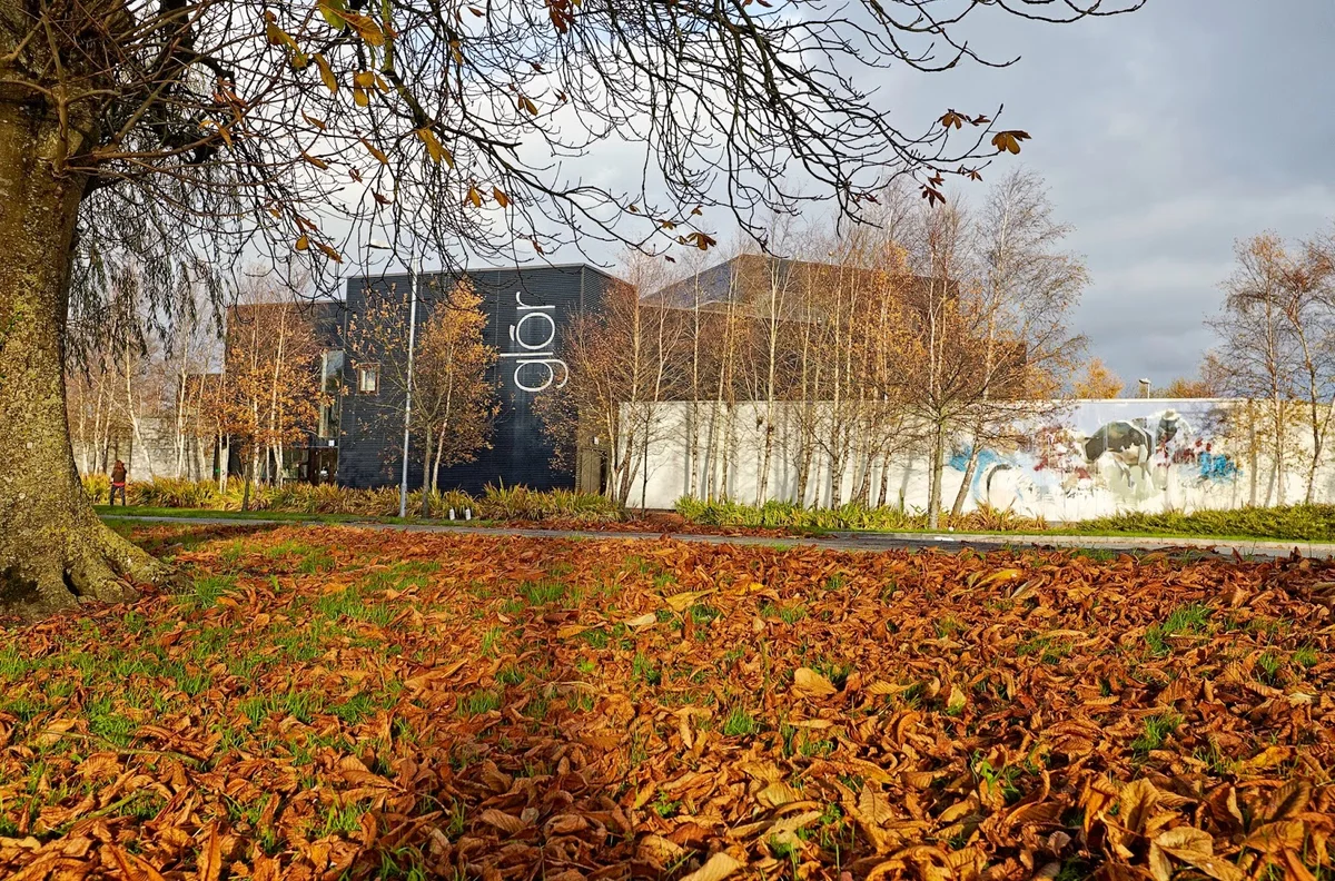 glór in Ennis, County Clare | Ask Anything
