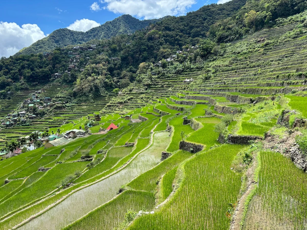 Batad Rice Terraces in Banaue | What to Know Before You Go