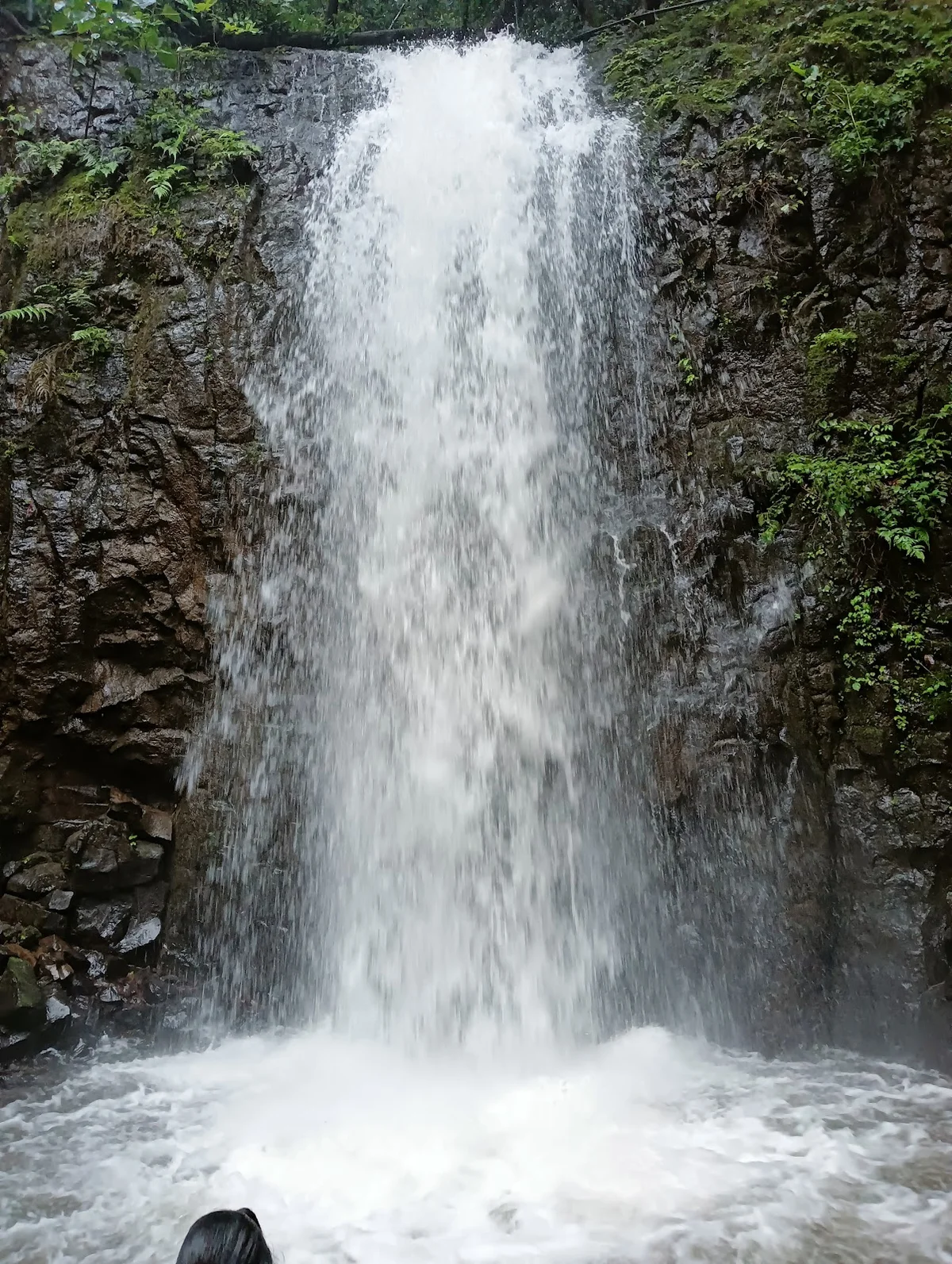 Jamboti Water falls (ಜಾಂಬೋಟಿ ಜಲಪಾತ) - Ask AI | mindtrip