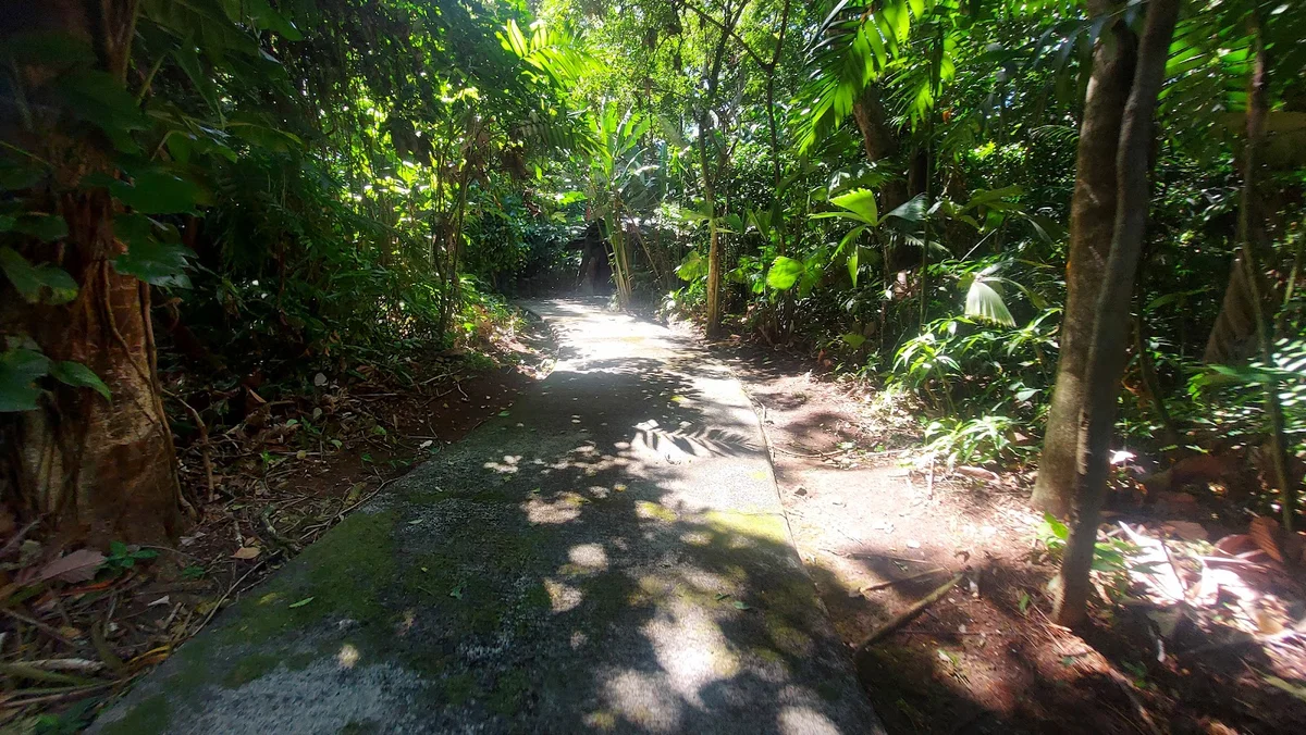 SINAC Area de Conservación Isla Del Coco - Ask AI | mindtrip