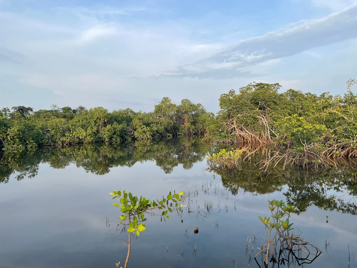 Akanda National Park | What to Know Before You Go