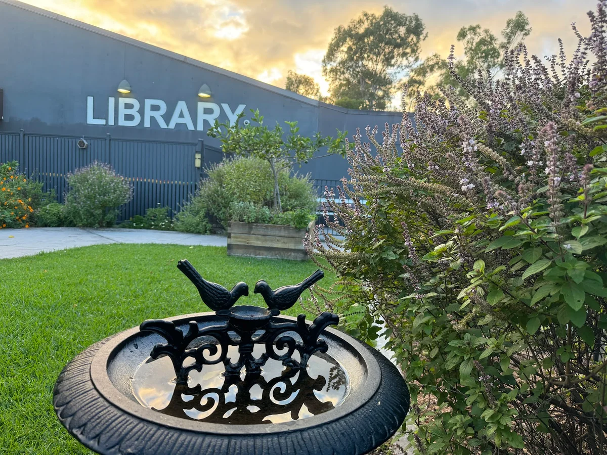 Grange Library in Brisbane | What to Know Before You Go