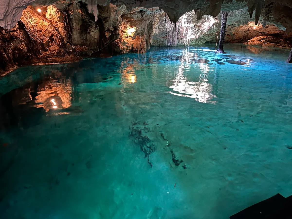 Cenote Chen-Ha in Tulum, Quintana Roo - Ask AI | mindtrip