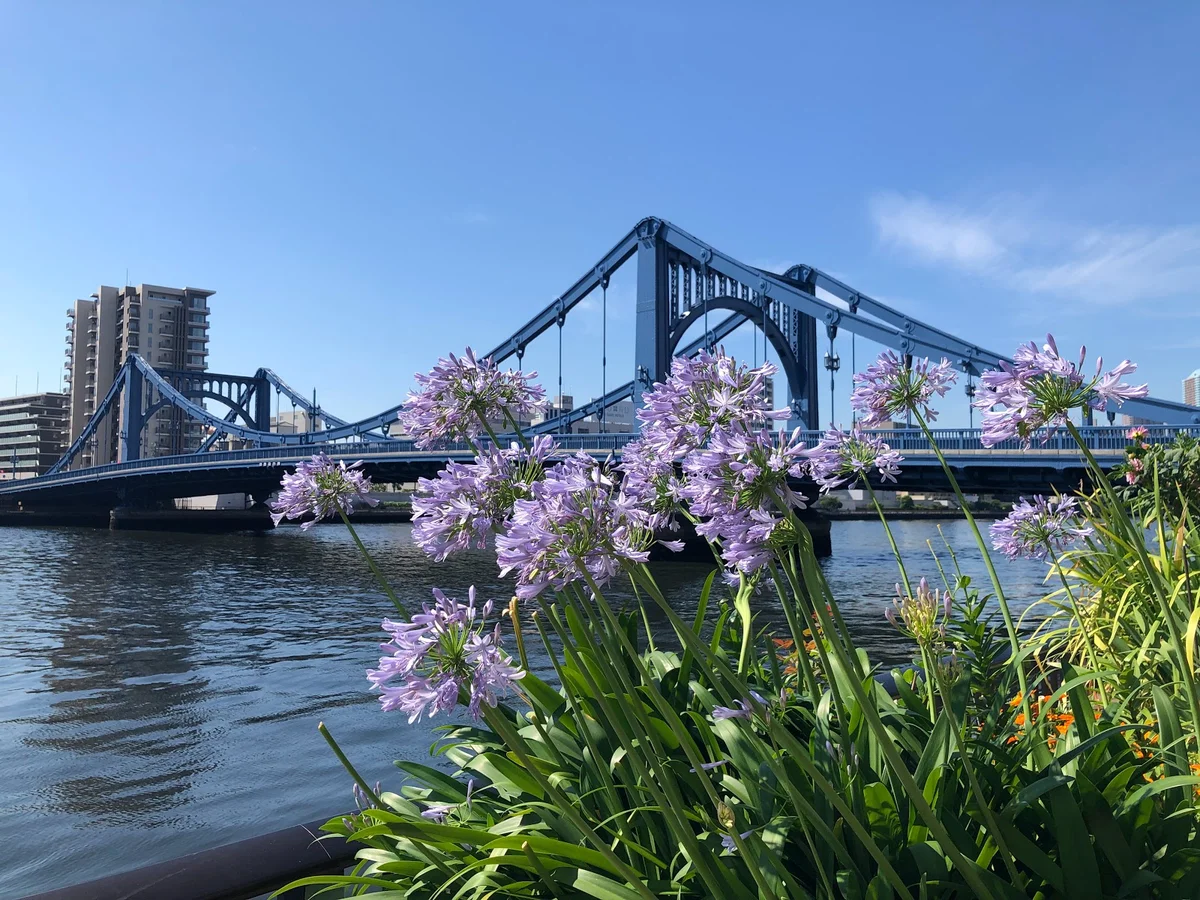 Sumida River Terrace in Tokyo - Ask AI | mindtrip