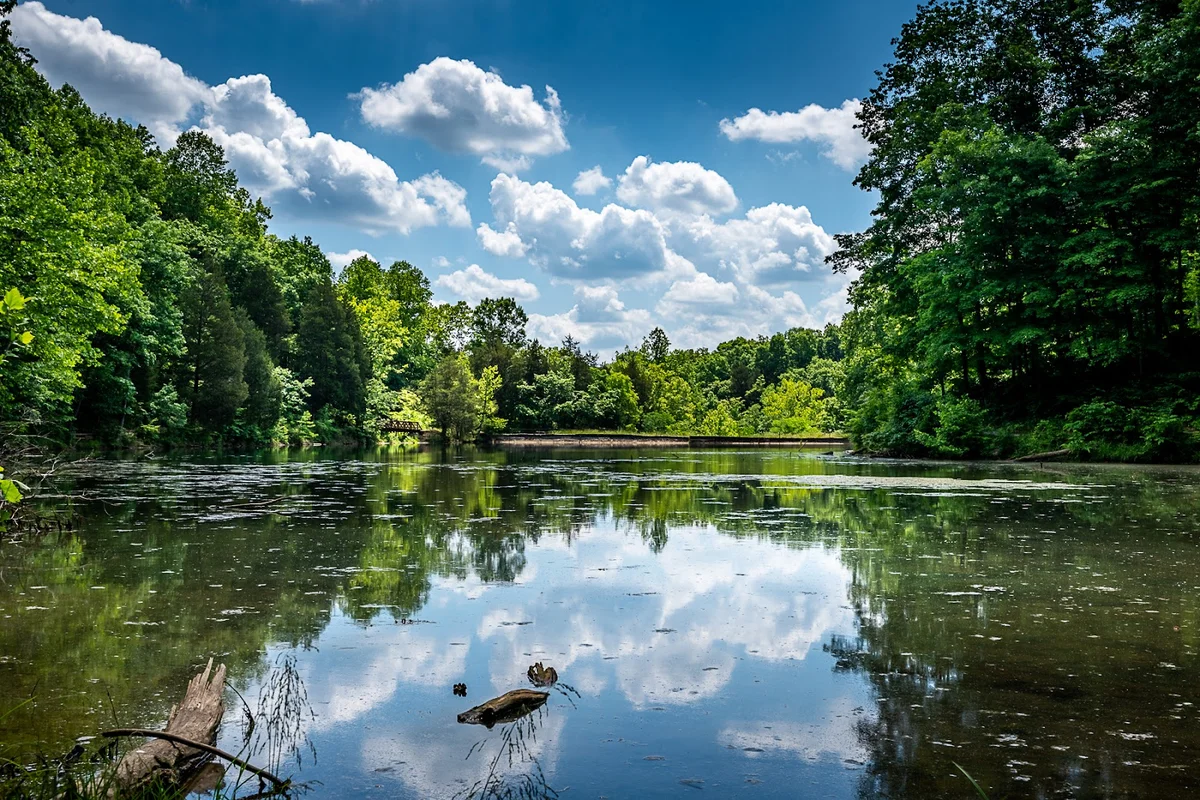 Saunders Springs Nature Preserve - Ask AI | mindtrip