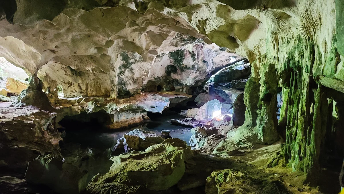 Conch Bar Caves in Conch Bar | What to Know Before You Go