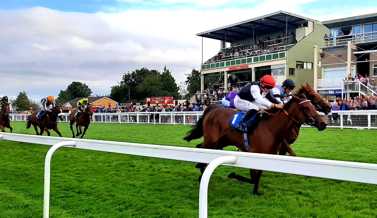 Salisbury Racecourse in Salisbury - Ask AI | mindtrip