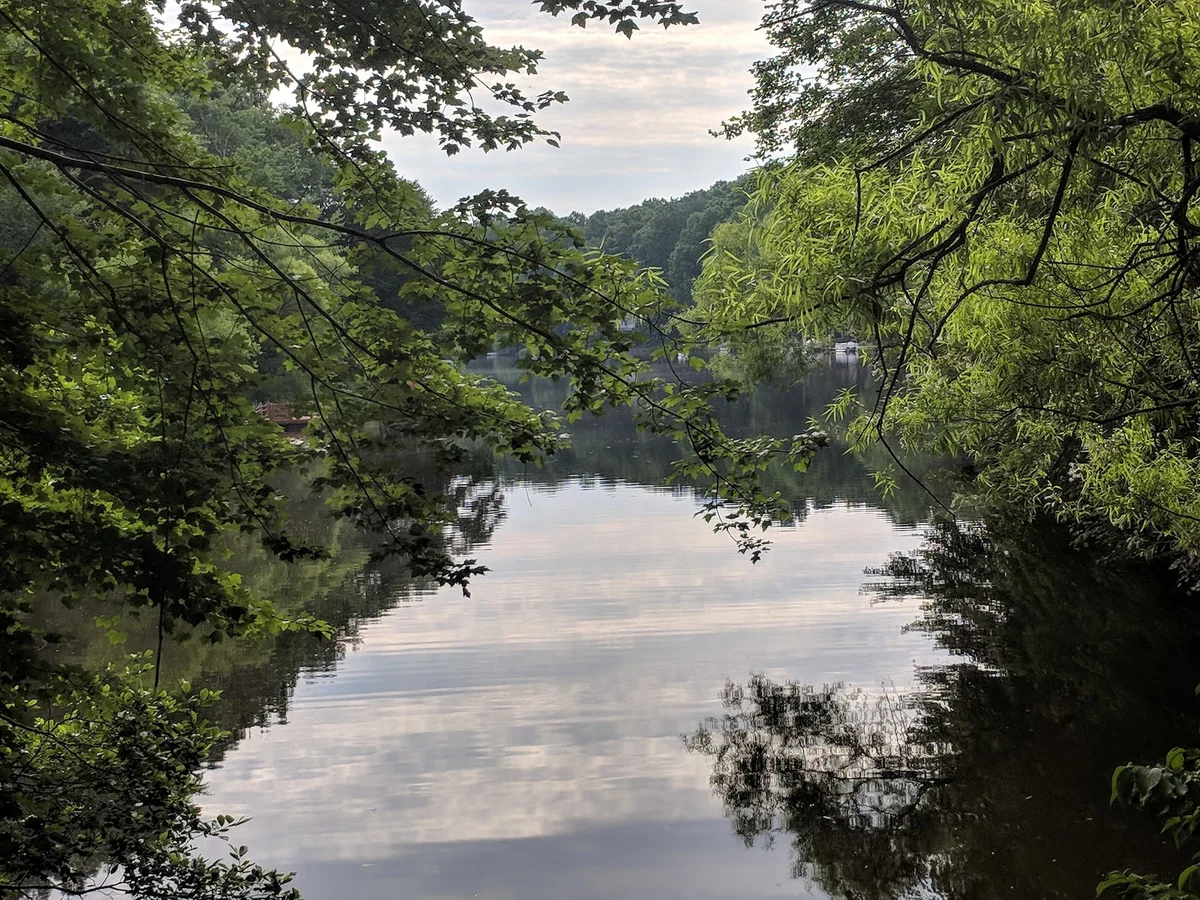 Walker Nature Center in Reston, Virginia - Ask AI | mindtrip