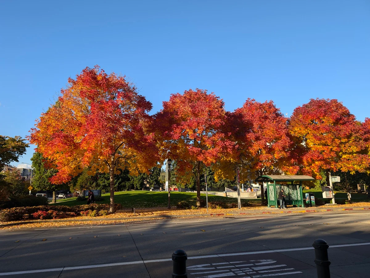 Redmond Transit Center in Redmond - Ask AI | mindtrip