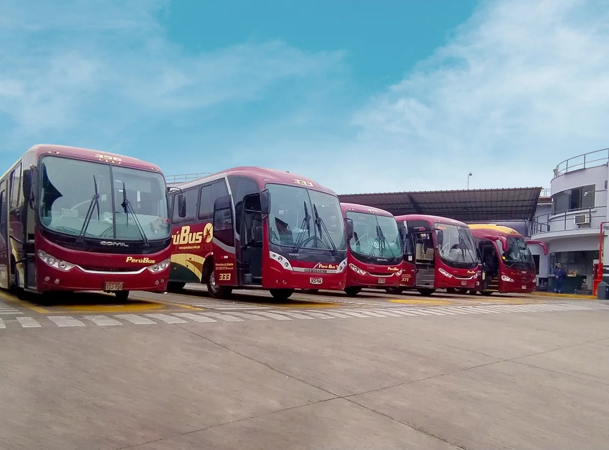 Perú Bus in Lima | What to Know Before You Go