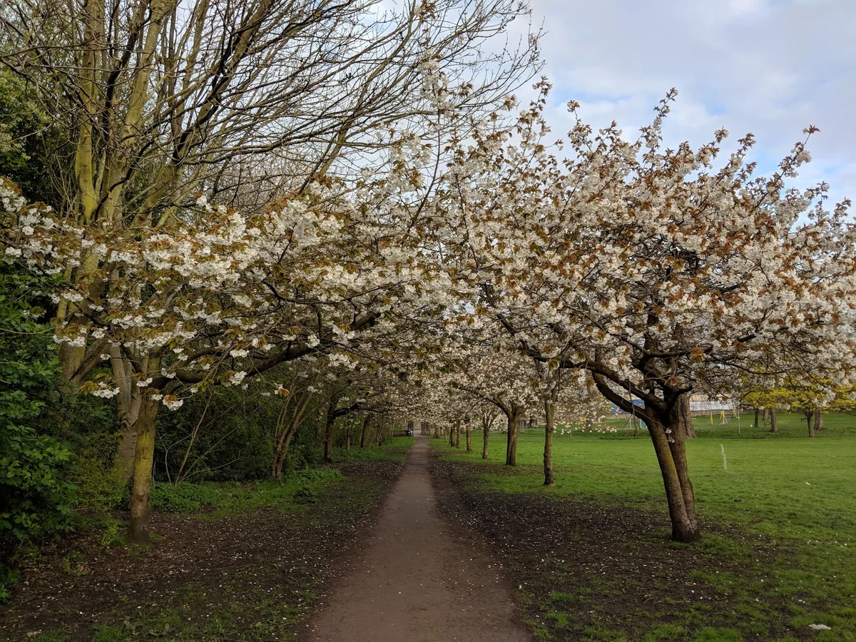 Pilrig Park in Edinburgh, Scotland - Ask AI | mindtrip
