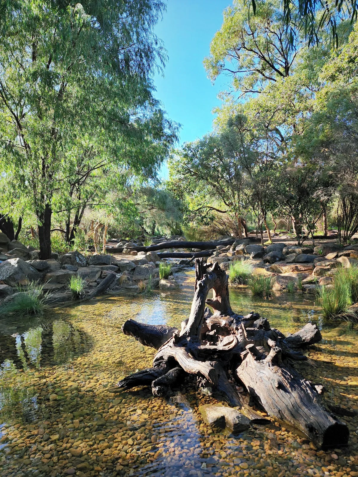 Rio Tinto Naturescape Kings Park