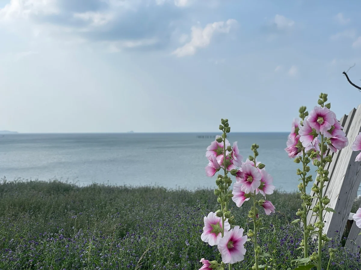 Yangma Island in Yantai, Shandong | Ask Anything