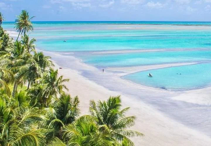 Praia de Antunes in Maragogi, Alagoas - Ask AI | mindtrip