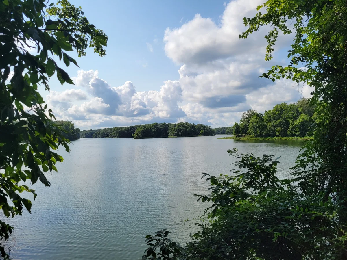 Mississippi River State Park in Marianna - Ask AI | mindtrip