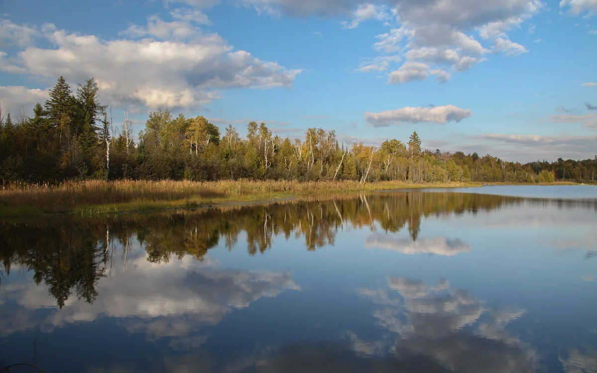 Secord Forest Oak Ridges Trail in Uxbridge | Ask Anything