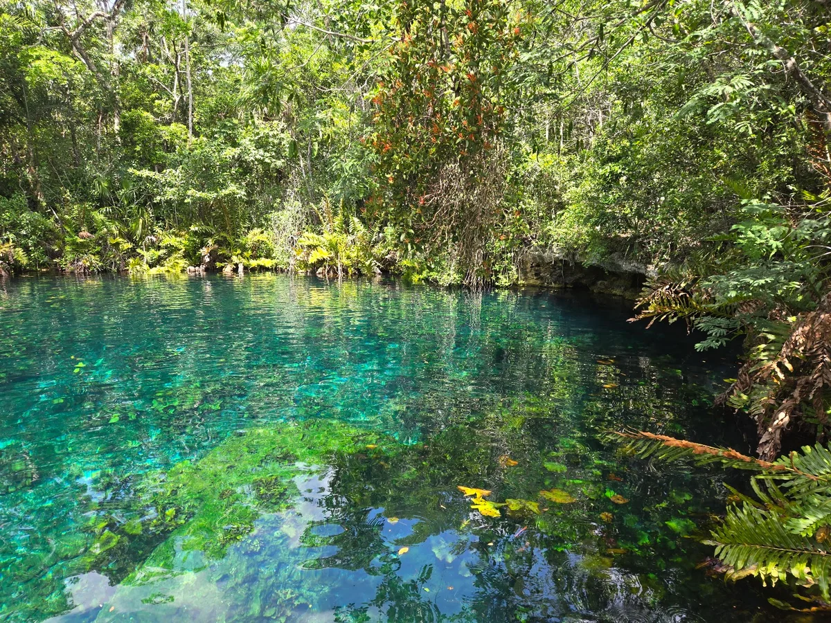 Tankah Park in Tulum | What to Know Before You Go